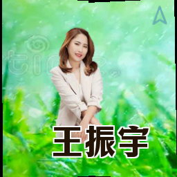 王振宇